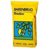 Barenbrug Shadow Gazon