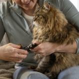 Fiskars kis körömvágó Pet Care 2009130