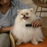 Fiskars Pet Care fém fésű 2009134