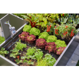 Gardena Micro-Drip-System kezdőcsomag ágyásokhoz / 35 növény