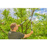 Gardena TeleCut Basic, teleszkópos metszőolló zöld fa vágásához