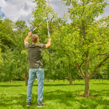Gardena TeleCut Basic, teleszkópos metszőolló zöld fa vágásához