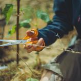 Fiskars univerzális olló, 21 cm 1075031