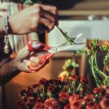 Fiskars Univerzális olló balkezes használatra, 21 cm 1075035