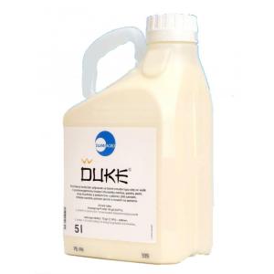 Duke