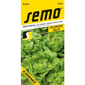 Semo saláta a Kamenex csődör felgyorsításához. 0,6g