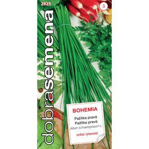 Jó magok Metélőhagyma Bohemia 2g