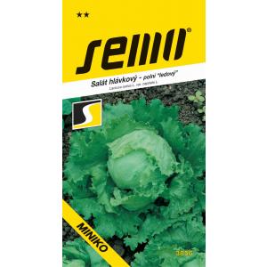 Vetőmag Jégsaláta Miniko mezei kisebb 0,4g