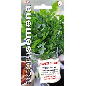 Good Seeds Petrezselyem - Gigante D'Italia sima 4g