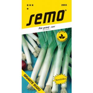 Gigante suizo nyári póréhagyma mag 0,2 g