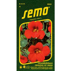 Semo Cappuccino nagyobb Princess of India 2g