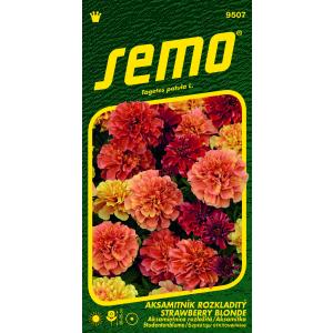 Semo Velvetleaf Strawberry Blonde 35s