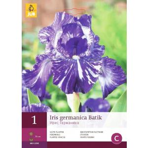 Írisz GERMANICA BATIK 'C'