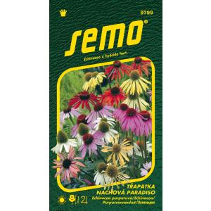Echinacea purpurea mag Paradiso 12s