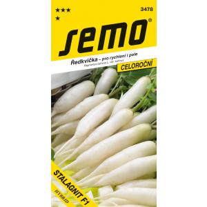 Vetőmag Fehér retek Stalagnit F1 gyors vetés 1,5g
