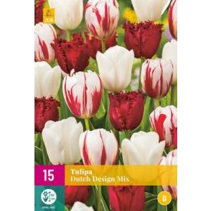 Tulipán holland design mix 'D'