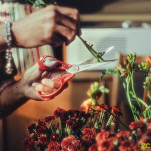 Fiskars Univerzális olló balkezes használatra, 21 cm 1075035