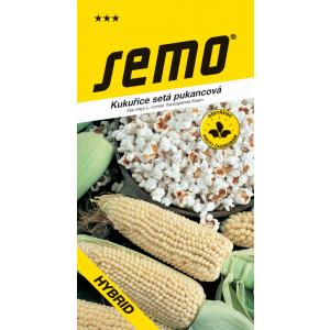 Vetőmag Kukorica Amber F1 késői 6g