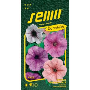 Petúnia többvirágú keverék csillag orchideával F1 50p