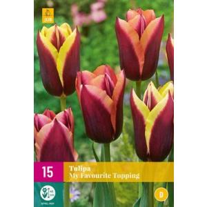 Tulipán Kedvenc feltétezésem "E"