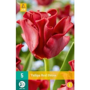 Tulipán piros ruha "C"